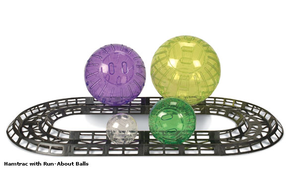 ������ �� �������