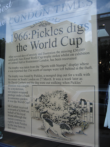 �������� ��� �������