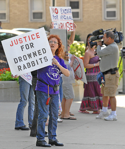 ���������� ���� �� ������ ��������