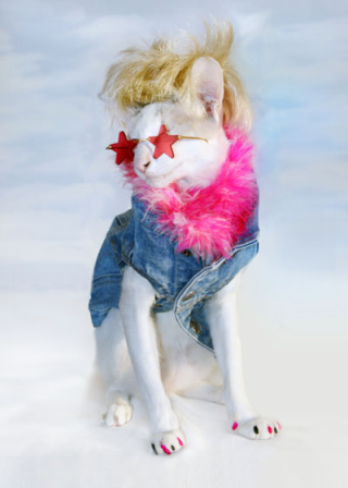 ��� ��� � ��� ��� ����� ������?