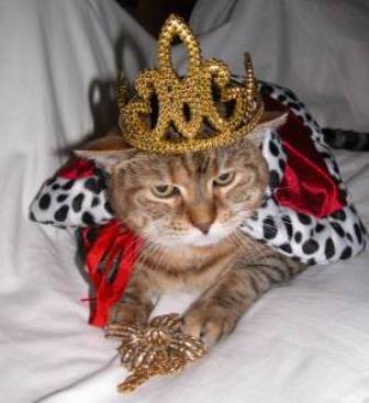 ��� ��� � ��� ��� ����� ������?