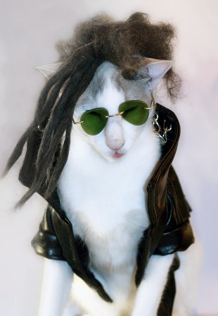 ��� ��� � ��� ��� ����� ������?