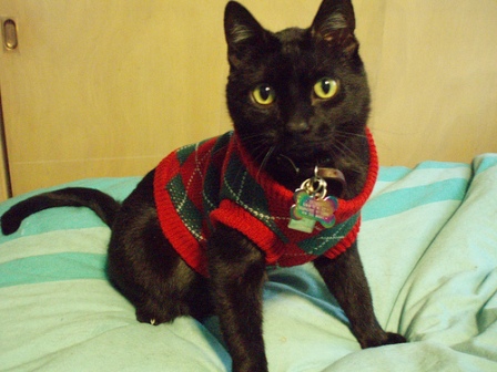 ��� ��� � ��� ��� ����� ������?