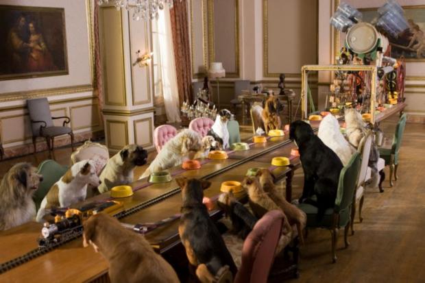 ����� ������ ��� �����