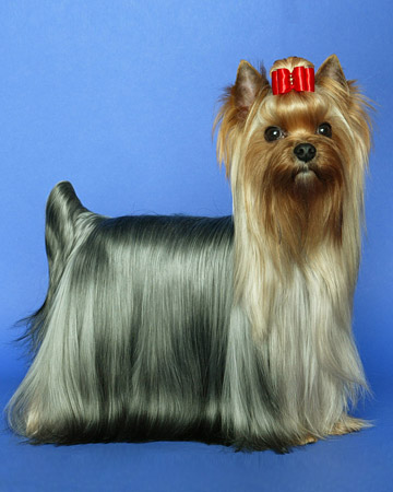 ����� ���������� ������ ����� � ����