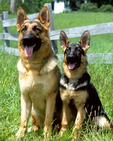 ����� ���������� ������ ����� � ����