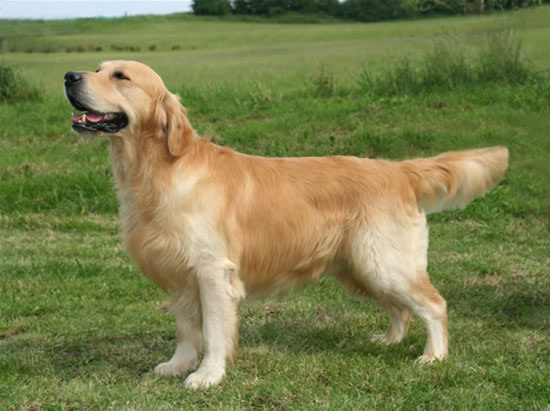 ����� ���������� ������ ����� � ����