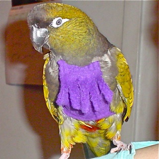 ��������� ��� ������