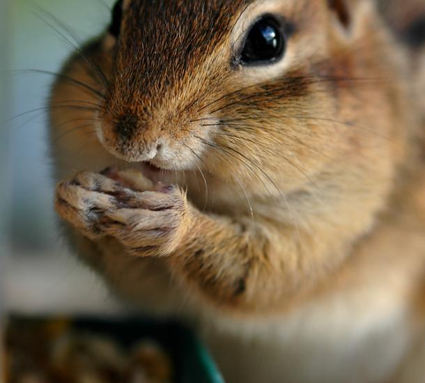 ��������� � �������� �������� ��� ���������� ���������?