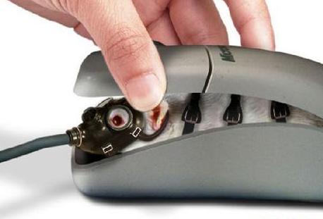 ����������� ������ ����� �����