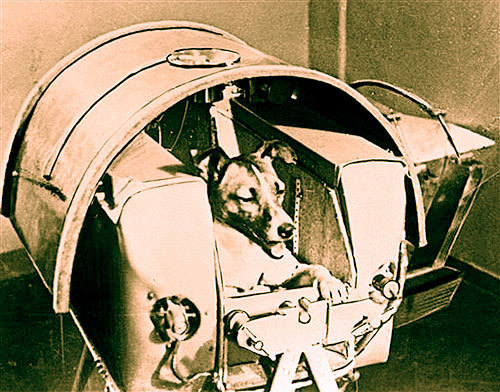 ���, ��� �� ������� ���� ���������