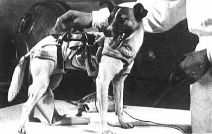 ���, ��� �� ������� ���� ���������