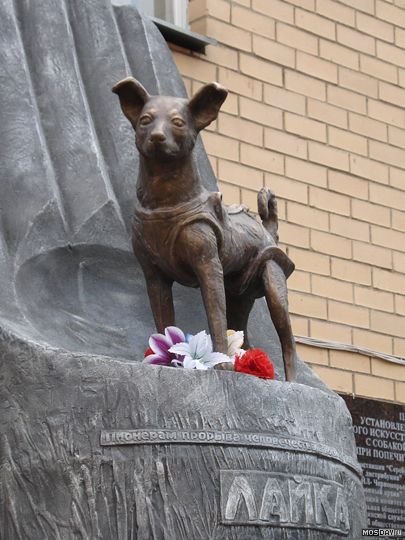 ���, ��� �� ������� ���� ���������