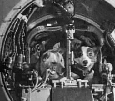 ���, ��� �� ������� ���� ���������