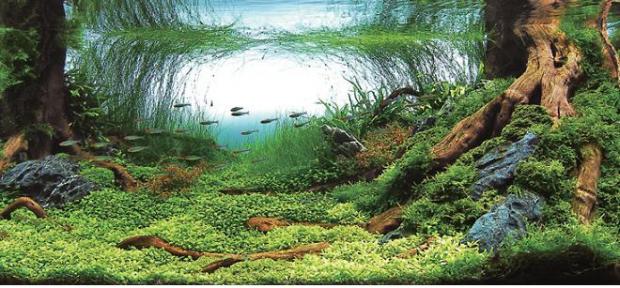 ��������� ����� �������� �����