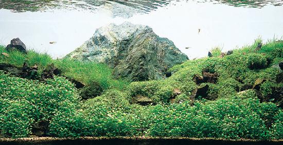 ��������� ����� �������� �����