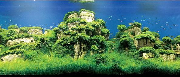 ��������� ����� �������� �����