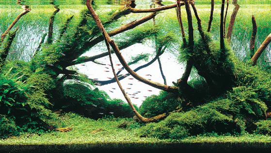 ��������� ����� �������� �����