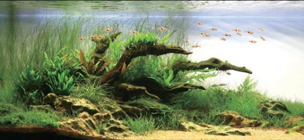 ��������� ����� �������� �����