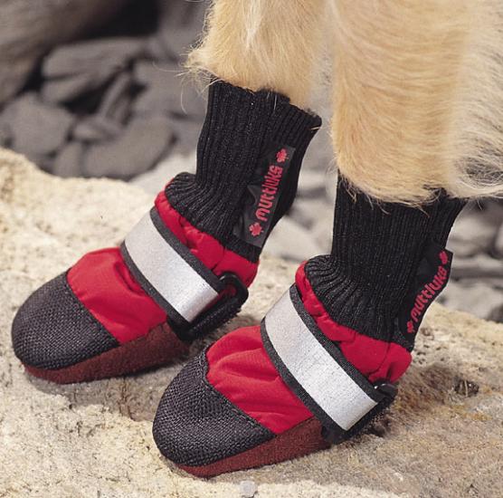 ������� ��� ����� �� ����