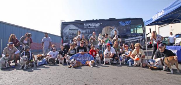 �������� �� ����������