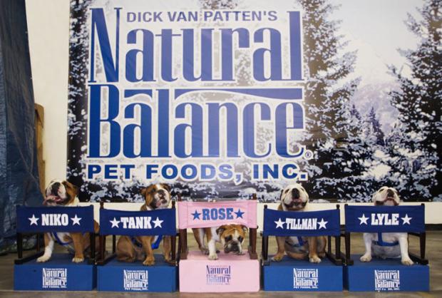 �������� �� ����������