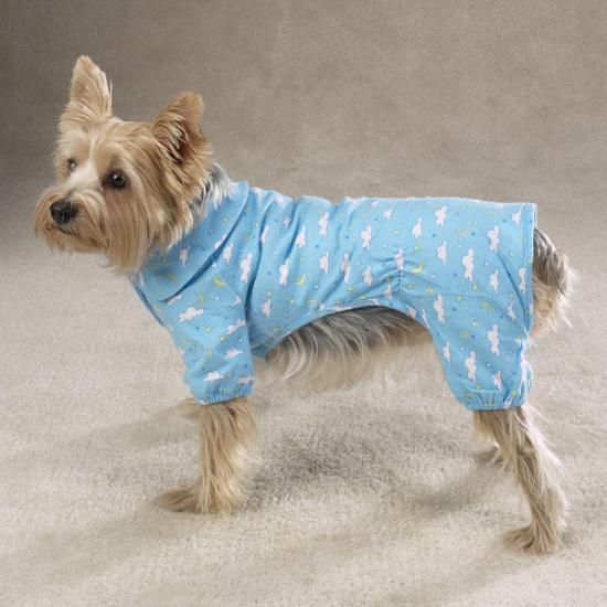 ������� ����