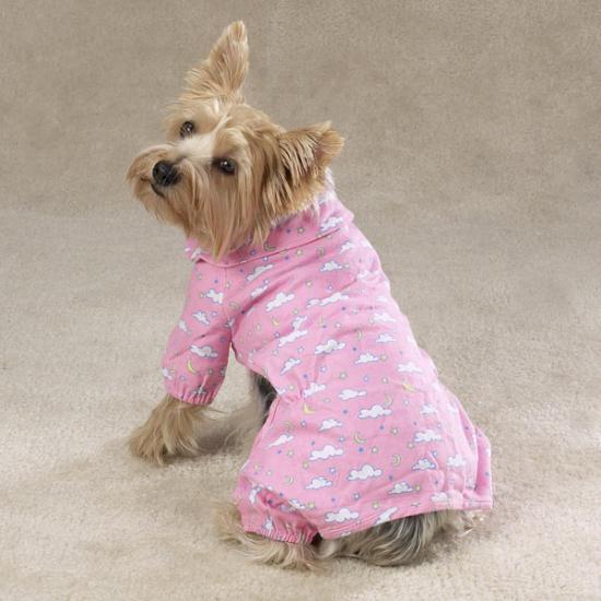 ������� ����