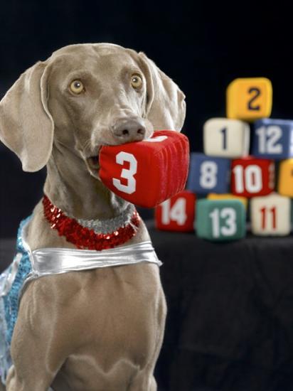 ������� ������ �������!