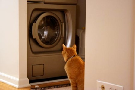 ����������� ����������� ��������� ����