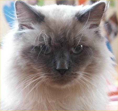 ������� � ������������� ���