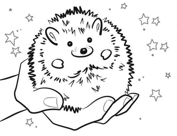 �������� ������ �������!