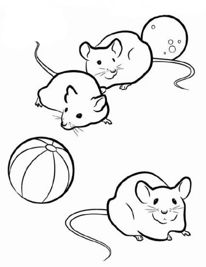 �������� ������ �������!