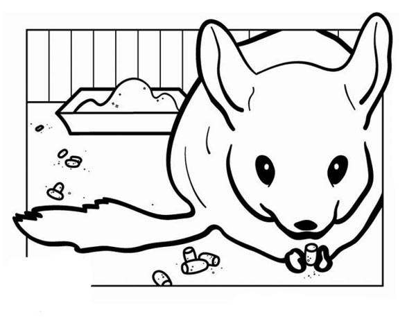 �������� ������ �������!