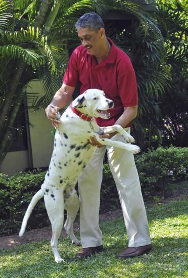 ������������ ��������