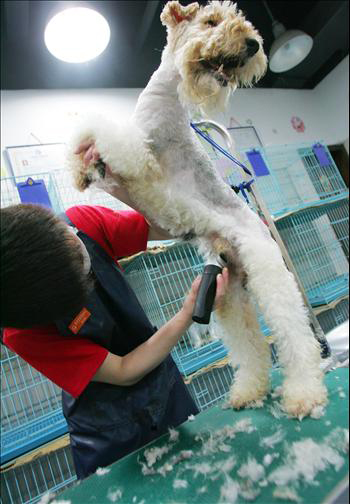 ������� ����� �� ����