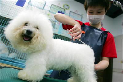 ������� ����� �� ����