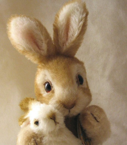 �������� �����������!