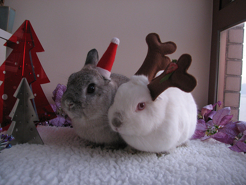 ���������� ������