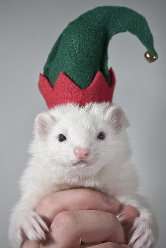 ���������� ������