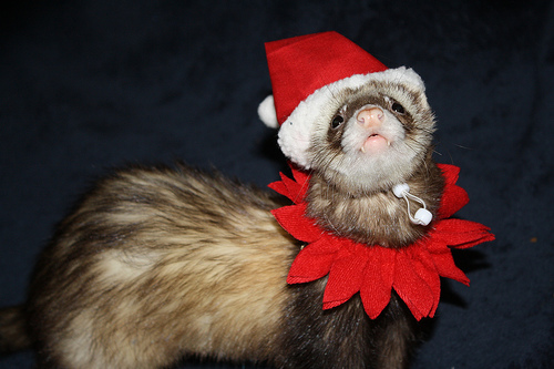 ���������� ������