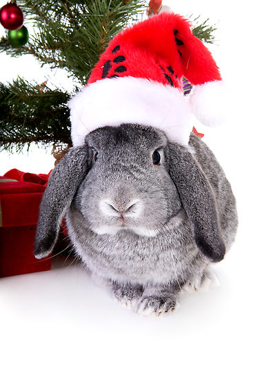 ���������� ������