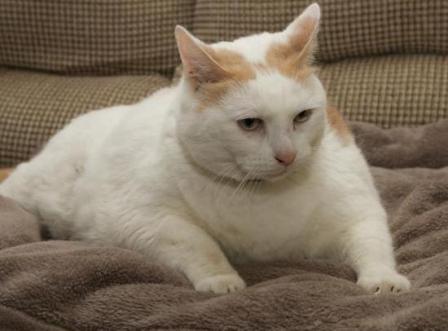 �������� � ������