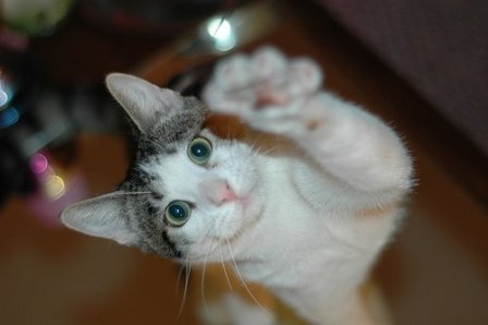 � ���� ����� ����� ��� ������?