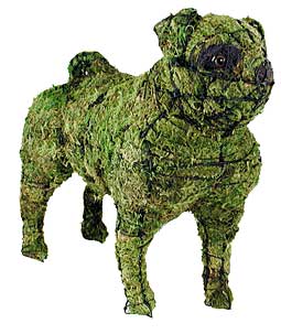 ��������� ����� � ����