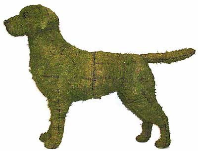 ��������� ����� � ����