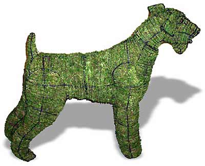 ��������� ����� � ����