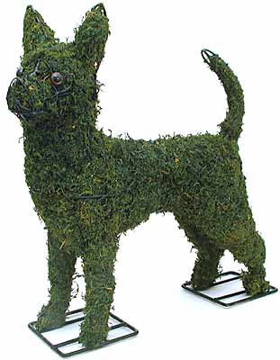 ��������� ����� � ����