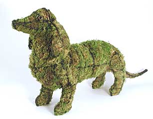 ��������� ����� � ����