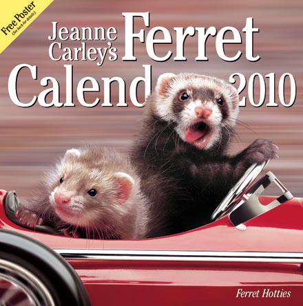 ������ � ����������!